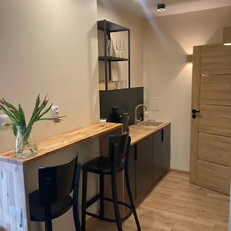 Apartamenty Przy Fontannie Zielona Gora  Exterior photo